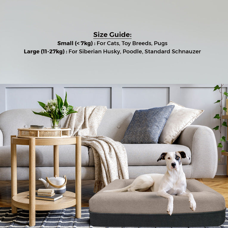 collection_img