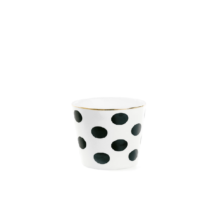 collection_img1