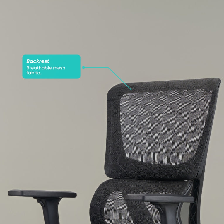 Nova Midback Office Chair