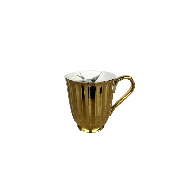 collection_img1